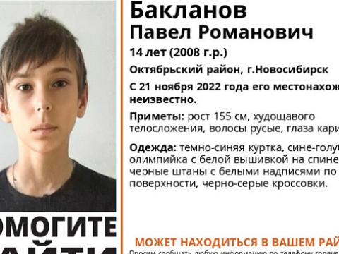 В Новосибирске полиция ищет школьника который не хочет возвращаться домой