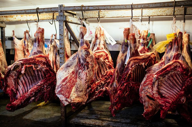 В 2022 году в Иркутской области увеличилось производство мяса до 15%