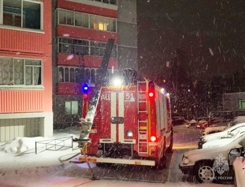 Пятерых человек спасли пожарные в Усть-Илимске