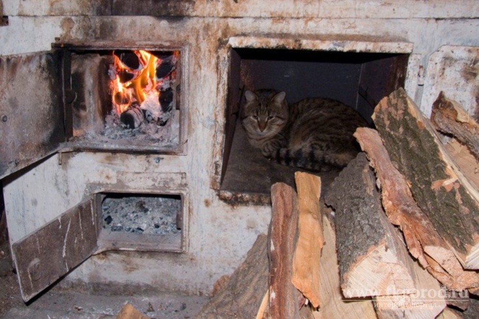 как топить печь дровами в деревянном