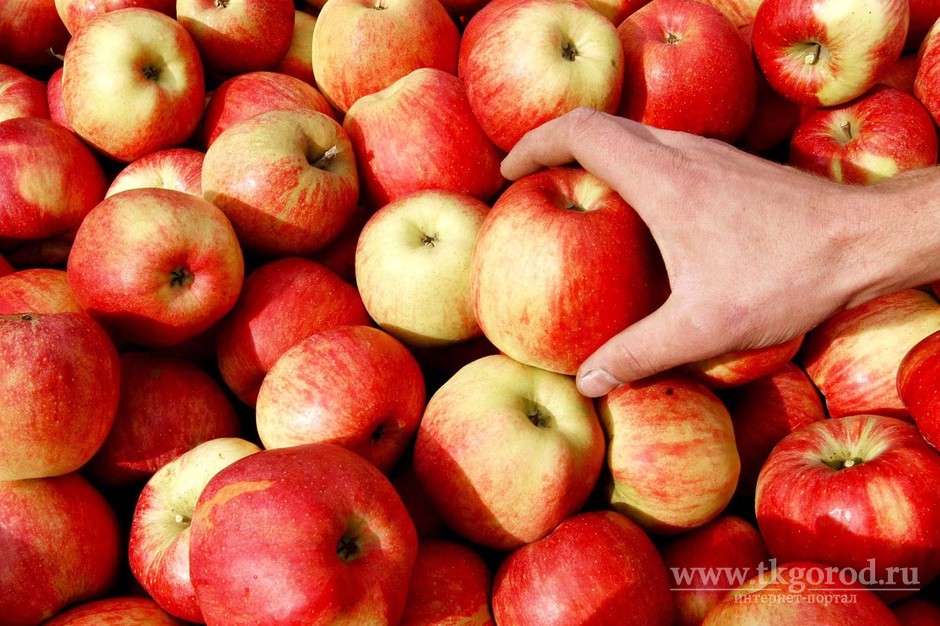 На плодовоовощной базе в Братске уничтожили санкционные яблоки