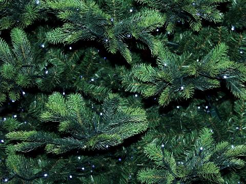 Иркутский зоосад принимает новогодние елки