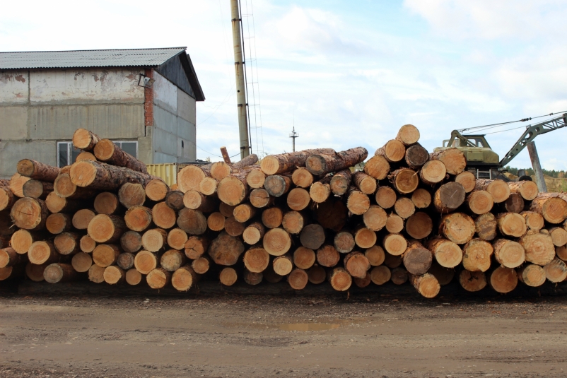 Бизнесмены из Иркутска незаконно экспортировали за границу лес на 116 млн рублей