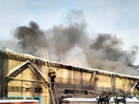 Пожар на площадке лесоперерабатывающего комплекса потушили в Усть-Илимске