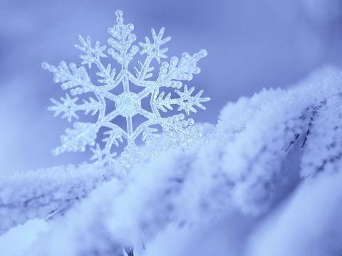 Небольшой снег пройдет в Иркутске во вторник вечером