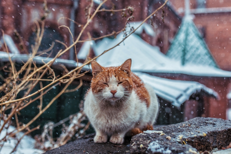 Снег ожидается в Иркутске в воскресенье, 22 января