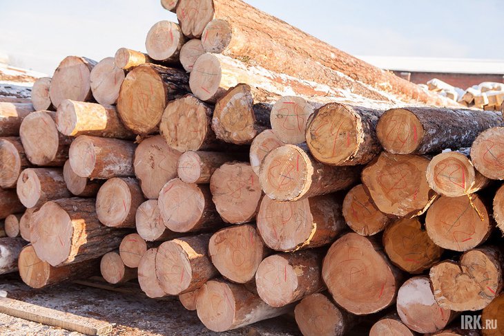 Суд вынес приговор жителю Киренска за незаконную рубку леса на 22 миллиона рублей