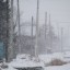 Сильный ветер и метели прогнозируют метеорологи в Иркутской области 27 января