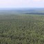 Площадь охраняемых от пожаров лесов увеличится в Иркутской области на 3,1 млн гектаров