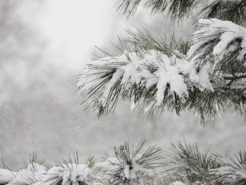 Снег и метели прогнозируют синоптики в Приангарье в понедельник 30 января