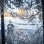 В Иркутской области определили победителей фотоконкурса «Берегите лесную красавицу»