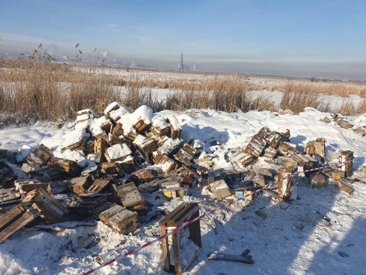Двое мужчин ответят в суде за загрязнение опасными отходами "Птичьей Гавани" в Иркутске