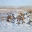 Дело о вывозе опасных отходов в «Птичью гавань» в Иркутске передали в суд