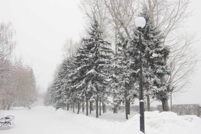 МЧС предупреждает об усилении ветра и метели в Иркутской области 26 февраля