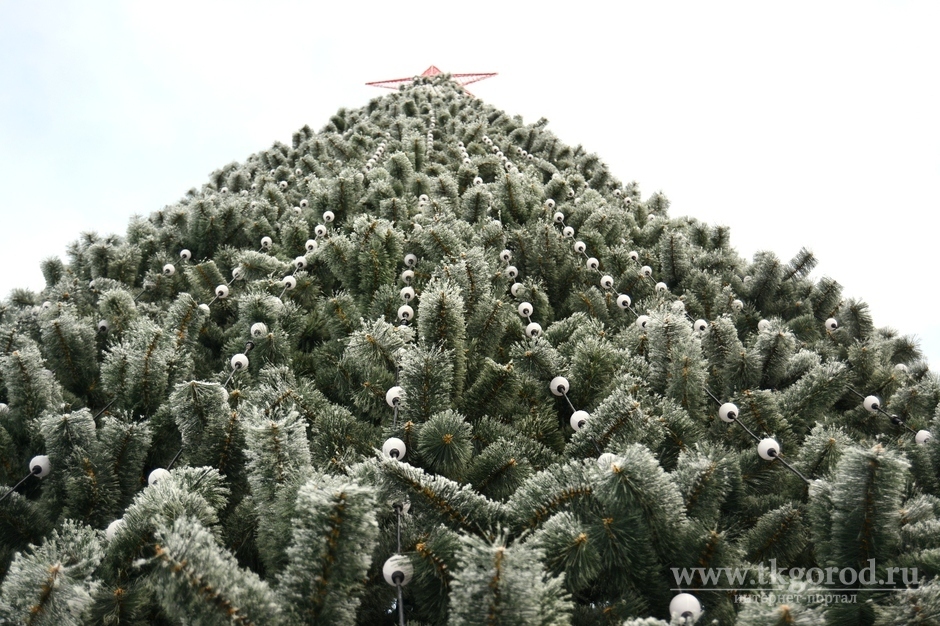 В Братске 12 декабря зажгут главную новогоднюю ёлку