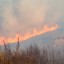 648 населенных пунктов Приангарья подвержены переходу лесных пожаров