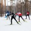 Тайшетские лыжники достойно пробежали 25 км на гонке &#171;Преодолей себя&#187; в Красноярске