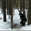 Сожженное тело пенсионерки из Красноярска нашли в лесу в Иркутской области