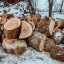 Черные лесорубы нанесли ущерб природе на 3,2 млн рублей в Иркутской области