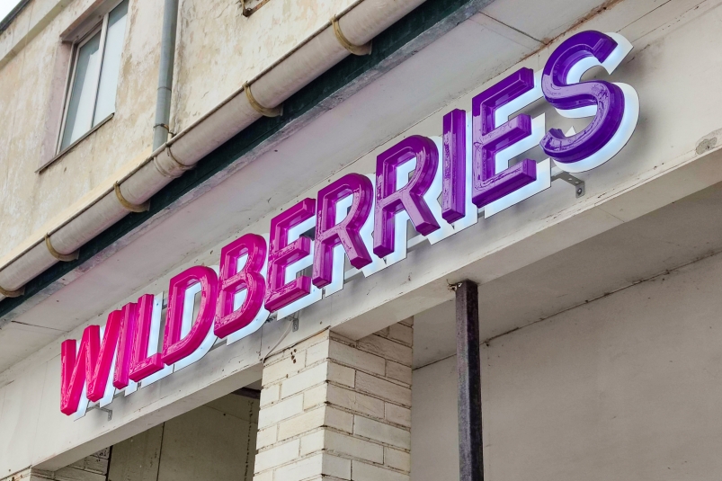 Wildberries запустит собственный бренд электроники и бытовой техники