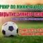 Жителей Тайшета и района приглашают принять участие в турнире по мини-футболу