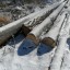 Жителю Нижнеудинска может грозить срок за незаконно спиленные 15 деревьев