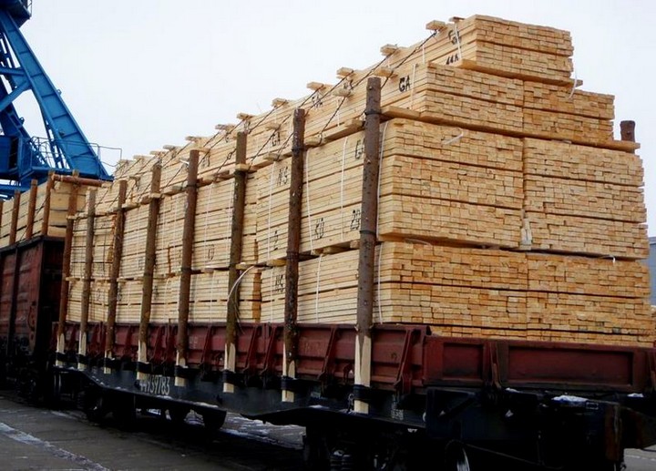 В Тайшетском районе возбуждено уголовное дело о лесной контрабанде на 15 миллионов рублей