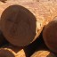Контрабанду лесоматериалов на 15 миллионов рублей выявили в Приангарье