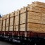 В Тайшетском районе возбуждено уголовное дело о лесной контрабанде на 15 миллионов рублей