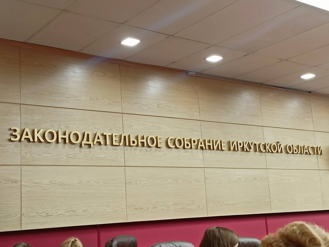 Выплаты до 2 миллионов рублей для медиков, которые поедут работать в небольшие города Приангарья, предложили установить областные депутаты