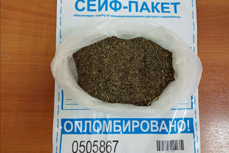 "Убийцу" сельского хозяйства обнаружили в семенах у пассажиров рейса в Иркутске