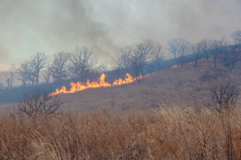 Целевой показатель сокращения площади лесных пожаров в Приангарье составил 474,7 тысячи га