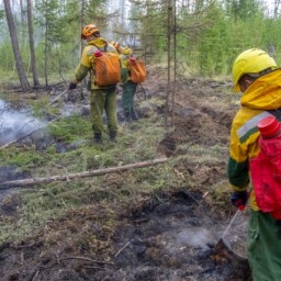 Готовность Приангарья к пожароопасному сезону оценила комиссия Рослесхоза