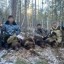 В Иркутске взыскали ущерб с браконьеров, убивших медведицу с тремя медвежатами