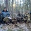 Суд взыскал ущерб с браконьеров, убивших медведицу и трех медвежат в Приангарье