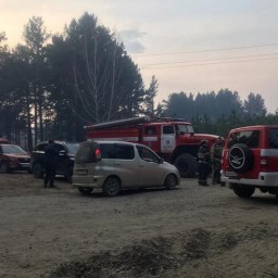 В Усольском районе тушат крупный пожар в двух садоводствах