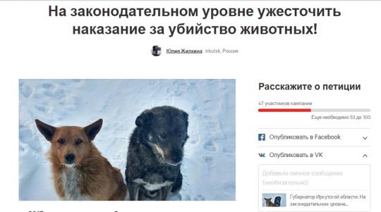 Иркутские зоозащитники просят губернатора остановить жестокую травлю собак в городе
