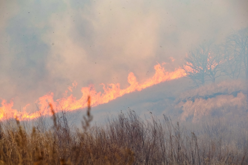 Десять пожаров потушили в лесах Приангарья за сутки