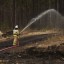 В лесах Иркутской области за сутки потушили десять вновь зарегистрированных пожаров