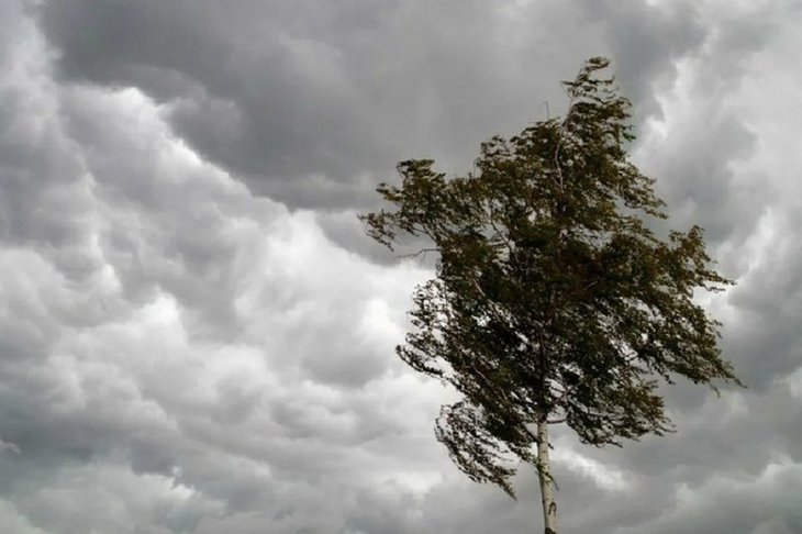 МЧС предупреждает об усилении ветра и грозах в Иркутской области 23 мая