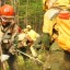 За сутки в лесах Иркутской области потушили восемь пожаров