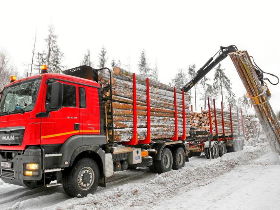 В ходе спецоперации в Приангарье проверили более двух тысяч лесовозов