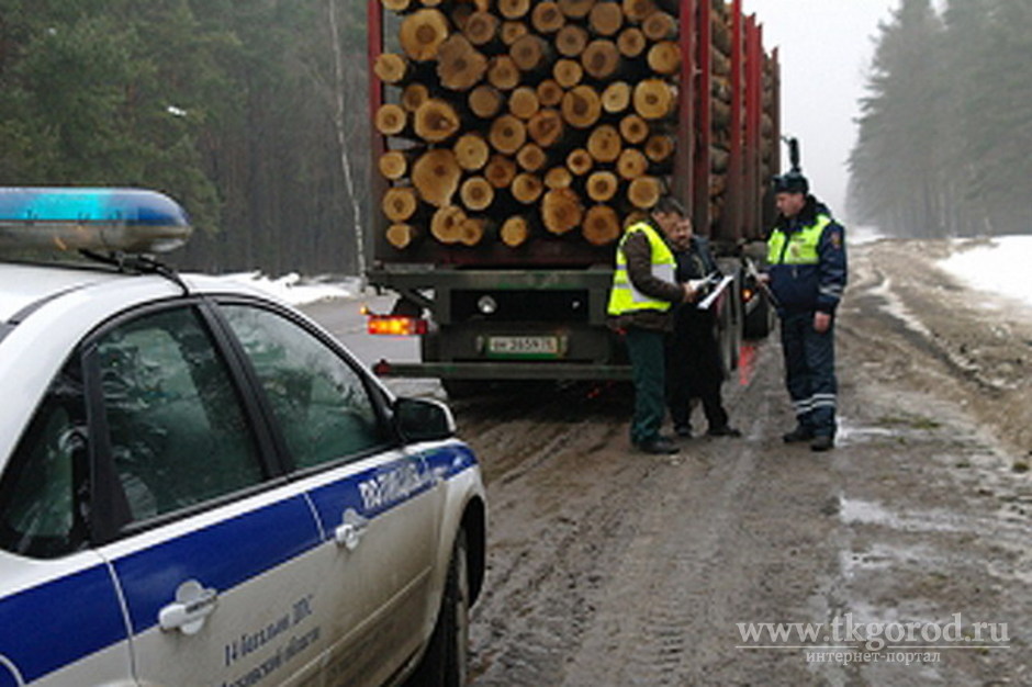 За месяц проведения операции «Лесовоз» в Приангарье выявили 77 незаконных вырубок