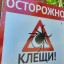 Более 3 тысяч человек пострадали от укусов клещей в Иркутской области
