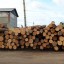 Троих жителей Иркутской области заподозрили в контрабанде леса на 490 млн рублей