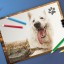Жителей Иркутской области приглашают к участию в конкурсе рисунков «Портрет фронтовой собаки»