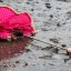 Кратковременные дожди и грозы прогнозируют местами в Иркутской области днем 29 мая
