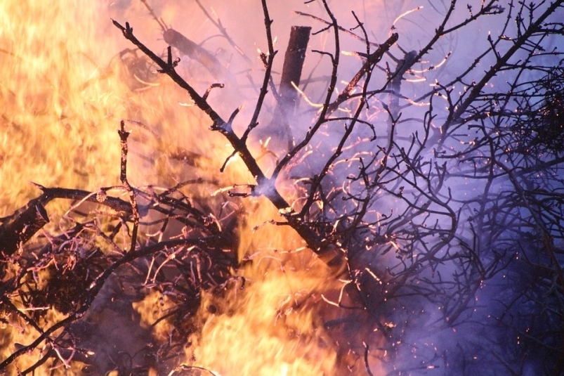Двое отдыхавших на природе жителей Приангарья устроили пожар с ущербом в 3 млн рублей
