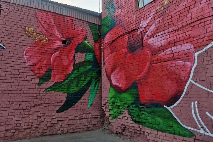 В Иркутске расписывают стены зданий во дворе Дома ветеранов