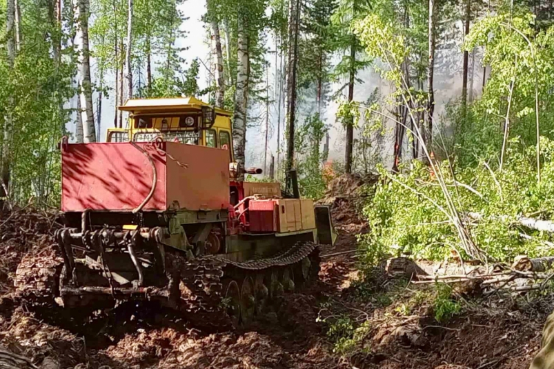 Десять лесных пожаров потушили в Иркутской области за сутки